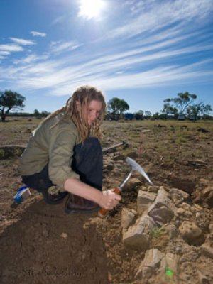 PhD Candidate Tamara Fletcher unearthing a 101 million year old log of silicified wood near Isisford, central-western Queensland. Photo: Steve Salisbury.